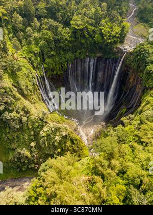 Die majestätischen Tumpak Sewu Wasserfälle tauchen dramatisch in grüne Klippen und üppigen Dschungel, Sidomulyo, Kabupaten Lumajang, Indonesien Stockfoto