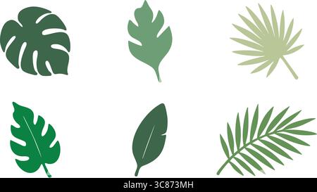 Ein Satz von neun verschiedenen tropischen Blättern auf weißem Hintergrund. Stock Vektor