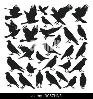Große Sammlung von Vogelsilhouetten in verschiedenen Stock Vektor