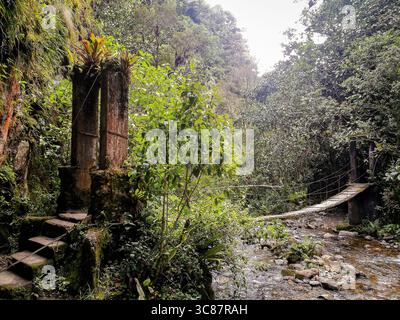 Wanderweg in valle de cocora, kolumbien Stockfoto