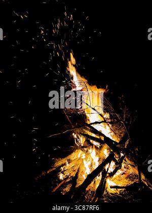 Schönes, warmes und glitzerndes Lagerfeuer im Wald bei Nacht Stockfoto