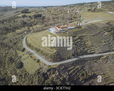 Aus der Vogelperspektive der terrassenförmig angelegten Weinberge kaskadieren die Hügel hinunter in Richtung einer gewundenen Straße, wo ein Weingut stolz vor der Skyline steht, Ribeira Sacra, Lugo, Spanien. Stockfoto