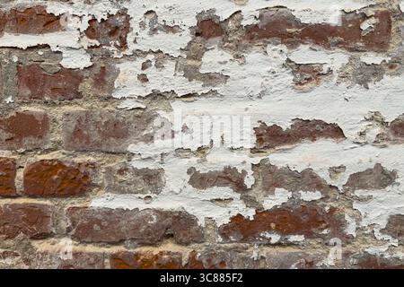 Weiße Farbe, die von verwitterten roten Ziegeln auf einem mittelalterlichen Gebäude abblättert, schafft eine interessante strukturierte Hintergrundplatte. Stockfoto
