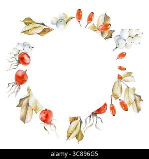 Botanischer Rundrahmen mit trockenen Blättern. Hagebutte und Schneebeere. Rote und weiße Beeren der Saison. Aquarellabbildung. Eine Vorlage für Ihre Konstruktion. Stockfoto