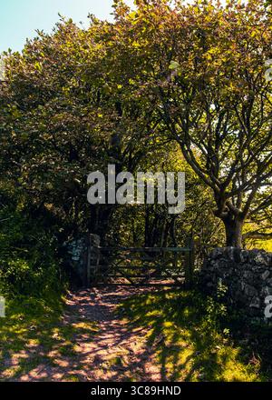 Ein Pfad führt durch ein hölzernes Tor, flankiert von Steinmauern und üppigen Bäumen, wodurch eine ruhige und einladende Szene entsteht. Stockfoto