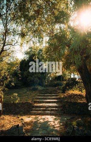 Steinweg, der durch einen sonnendurchfluteten Wald mit goldenen Blättern und warmem Nachmittagslicht führt Stockfoto