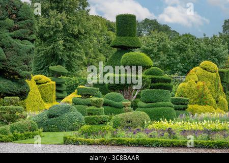 Topiary in Gardens of Levens Hall, Levens, Cumbria, England Stockfoto