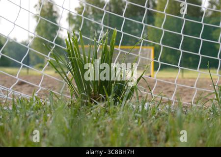 Eine künstlerische Perspektive, die Gras und Netzgewebe auf einem Fußballfeld zeigt, mit dem Ziel als Hintergrund für den Fokus. Stockfoto