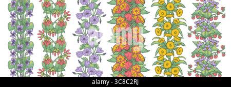 Set mit Streifenmustern mit Blumen der kanarischen Inseln. Vertikale, nahtlose Ränder mit Blumenmuster bündeln sich mit handgezeichnetem Millefleur Stock Vektor