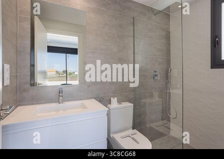 Stilvolles Bad mit grauen gefliesten Wänden, begehbarer Glasdusche und elegantem weißen Kosmetikbereich unter einem großen Spiegel. Stockfoto