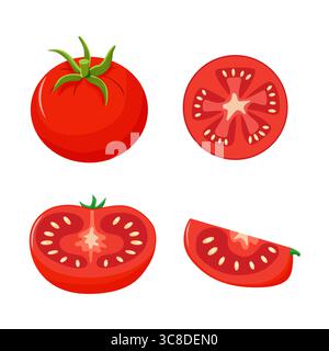 Bunte Tomaten. Ganze Tomaten, Hälften, Scheiben, handgezeichnet. Stock Vektor