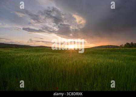 Blick auf das strahlende Sonnenlicht über einem üppigen Feld, wo grüne Klingen unter einer dramatischen Wolkenlandschaft den Himmel treffen, Elbasan, Elbasan County, Albanien. Stockfoto