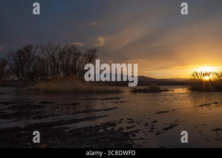 Sonnenuntergang über dem Utah Lake mit Bäumen, Schilf und leuchtenden Reflexen Stockfoto