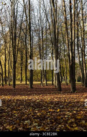 Wellpapier aus Altpapier für die Lagerung und den Transport von Geräten und Gegenständen, Papierdetails mit erhöhter Oberfläche und einer großen Anzahl von irr Stockfoto