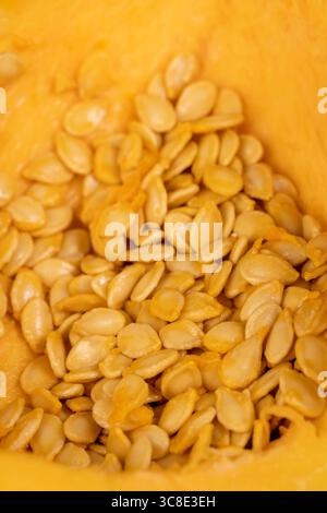 Frisch geschnittener Orangenkürbis mit Kochkernen, Orangenkürbis zum Kochen, Kürbiskerne in einen Kürbis gegossen Stockfoto