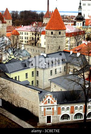 Blick von oben - Tallinns Altstadt, das historische Zentrum von Tallinn, Estland von der Patkuli Aussichtsplattform mit Türmen, Türmen und Dächern Stockfoto