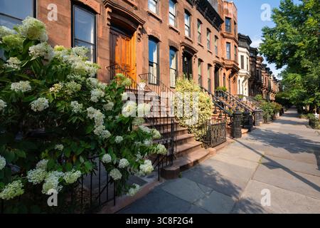 Park Slope Historic District in Brooklyn, New York City. Eine Reihe von Sandsteinen und Stadthäusern mit Klammern auf einer von Bäumen gesäumten Wohnstraße Stockfoto