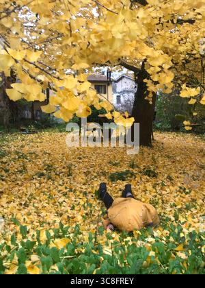 Das Kind in einer hellgelben Jacke fügt sich in ein Meer aus goldenen, gefallenen Blättern ein und erzeugt einen verspielten Tarneffekt. Das Bild fängt die Freude des Herbstes ein Stockfoto