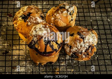 Köstliche französische Muffins oder Heidelbeermuffins, mit Puderzucker bestreut auf einem schwarzen Drahtgestell. Nahaufnahme. Hochwertige Fotos Stockfoto