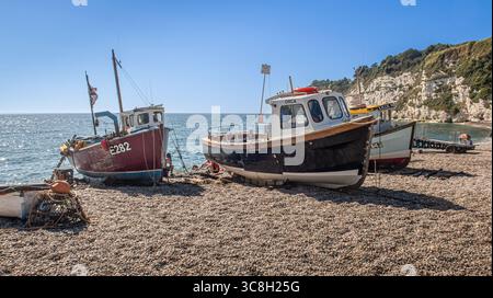Fischerboote am Kieselstrand in Beer, Devon, Großbritannien Stockfoto