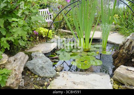 Ruhiger Gartenteich mit Seerosenpolstern, umgeben von üppigem Grün und leuchtenden rosa Blumen, mit weißer Bank in ruhiger Kleingartenlage Stockfoto