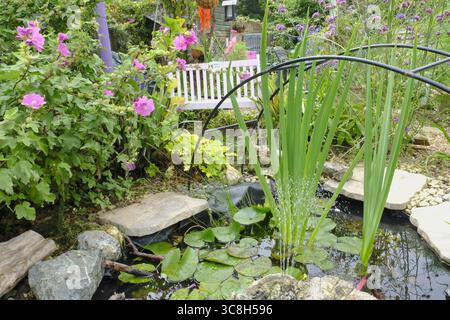 Ruhiger Gartenteich mit Seerosenpolstern, umgeben von üppigem Grün und leuchtenden rosa Blumen, mit weißer Bank in ruhiger Kleingartenlage Stockfoto