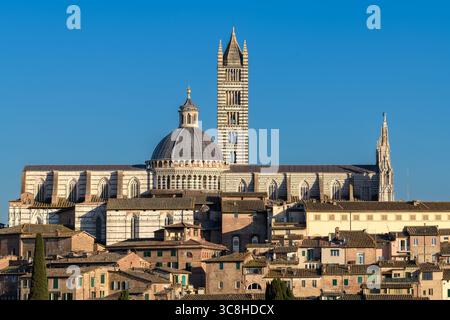 Blick auf die Kathedrale von Siena (Duomo di Siena) in Siena, Toskana, Italien Stockfoto