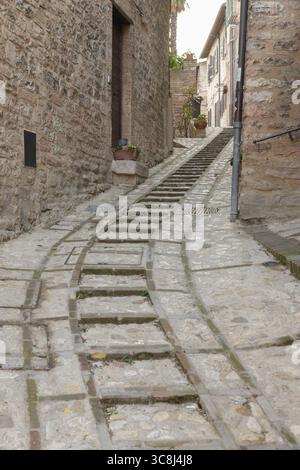 Charmante, enge Gasse im historischen Zentrum von Spello, Umbrien, Italien, gesäumt von Steinhäusern, Topfpflanzen und blühenden Balkonen. Stockfoto