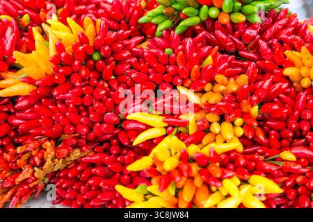 Gelbe, grüne und rote Chilischoten auf einem Lebensmittelmarkt in Venedig, Italien Stockfoto