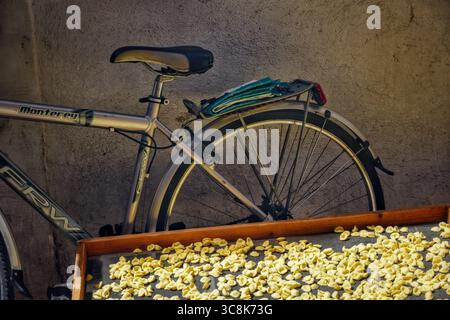 Das Fahrrad parkt in einer engen Gasse in der Nähe von Tabletts mit frischem Pasta Trocknung, Straßen von Bari, Apulien, Italien Stockfoto