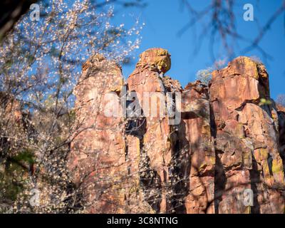 Blick auf die Sandsteinklippen des Waterbergs. Der Waterberg ist eine Felsformation in Namibia. Stockfoto