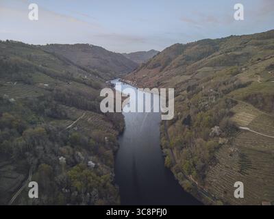 Aus der Vogelperspektive schlängelt sich ein dunkler Fluss durch die grünen, sanften Hügel von Ribeira Sacra und schneidet einen ruhigen Pfad durch die zerklüftete Landschaft, Bexán, Lugo, Spanien. Stockfoto