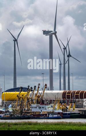 Der Seehafen von Eemshaven, Julianahaven Becken, hier lagern die Fundament-Strukturen, Monopiles, für Offshore-Windparks, die dann die eigentlichen Windräder tragen, mit großen Arbeitsschiffen werden die Bauteile zu den Windparks in der Nordsee transportiert und dort am Meeresboden verankert, darauf werden dann die Windenergieanlagen gebaut, Eemshaven, Niederlande, Windpark Logistik *** der Seehafen von Eemshaven, Julianahaven Basin, wo die Fundamentanlagen gespeichert werden. Die Komponenten werden zum W transportiert Stockfoto