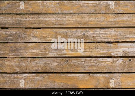 Verwitterte Holzdielen mit gelber Flechtenstruktur - rustikaler natürlicher Hintergrund für Design und Dekoration Stockfoto