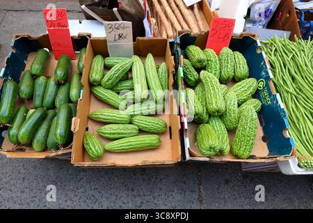 Fuzzy Melone (Benincasa hispida) Chinesische Bittermelone (Momordica charantia) Yardlong Bohnen (Vigna unguiculata) Eisenstabmelade (Dioscorea polystachya) Stockfoto