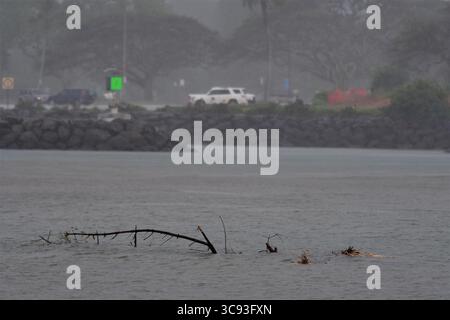 März 2021, Haleiwa, Oahu, Hawaii, USA: die Bewohner von Oahus Nordküste sehen sich einen Tag nach Sturzfluten durch Haleiwa, Hawaii, mit Sanierung und Erholung konfrontiert. Die Haleiwa Bay verwandelte sich in braunes Wasser mit großen Bäumen und Trümmern, die ins Meer gespült wurden. (Bild: © Steven Erler/ZUMA Wire/ZUMAPRESS.com) Stockfoto