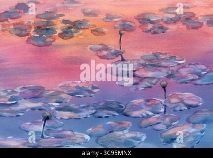 Seerosen im rosafarbenen Sonnenuntergang Wasseraquarell Hintergrund Stockfoto