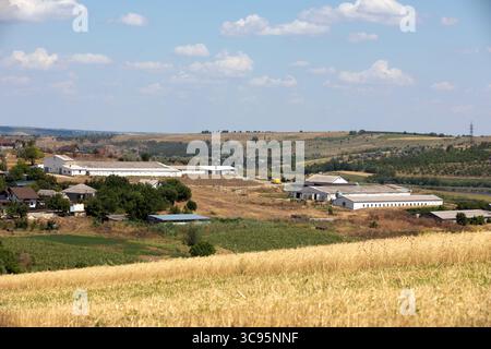 Ansammlung von landwirtschaftlichen Gebäuden und Häusern in einer trockenen ländlichen Landschaft mit Feldern und sanften Hügeln unter sonnigem Himmel. Stockfoto
