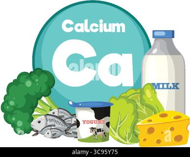 Vector illustration of calcium-rich foods including milk, cheese, yogurt, leafy greens, broccoli, and fish, in a flat, colorful style Stock Vektor