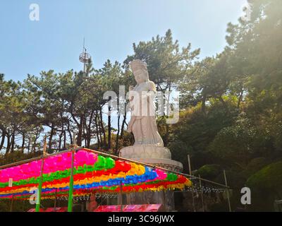 Busan, Südkorea - 29. März: Haedong Yonggungsa Tempel Stockfoto