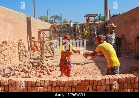 Feni, Bangladesch - 26. November 2018: Blick auf Arbeiter in lebendiger Kleidung, die unter klarem Himmel an Ziegelsteinen vorbeiziehen. Stockfoto