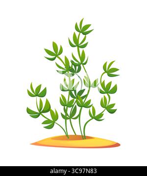 Meer- und Ozeankorallenriff Unterwasser-Cartoon Algen. Tropisches Meer isolierte Vektorwasseralgen, Aquarienpflanze mit grünen Blättern. Korallenriff Unterwasseralgen oder Meeresflora Stock Vektor