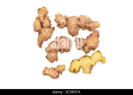 Frischer Ingwer ( Zingiber officinale ) isoliert auf weißem Hintergrund Stockfoto
