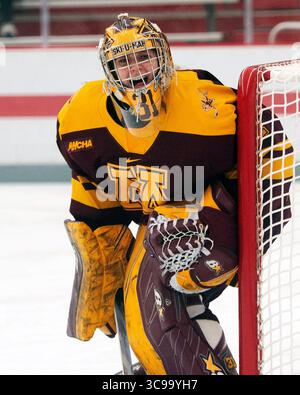29. Oktober 2022: Skylar Vetter (31), Torhüter der Minnesota Golden Gophers, während des Spiels gegen die Ohio State Buckeyes in Columbus, Ohio. Brent Clark/CSM (Bild: © Brent Clark/CSM via ZUMA Press Wire) Stockfoto