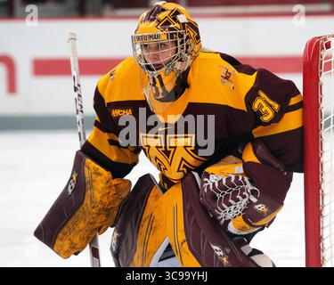 29. Oktober 2022: Skylar Vetter (31), Torhüter der Minnesota Golden Gophers, während des Spiels gegen die Ohio State Buckeyes in Columbus, Ohio. Brent Clark/CSM (Bild: © Brent Clark/CSM via ZUMA Press Wire) Stockfoto