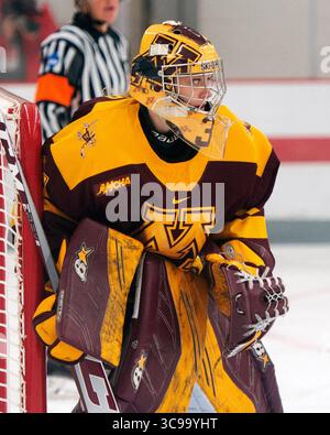 29. Oktober 2022: Skylar Vetter (31), Torhüter der Minnesota Golden Gophers, während des Spiels gegen die Ohio State Buckeyes in Columbus, Ohio. Brent Clark/CSM (Bild: © Brent Clark/CSM via ZUMA Press Wire) Stockfoto
