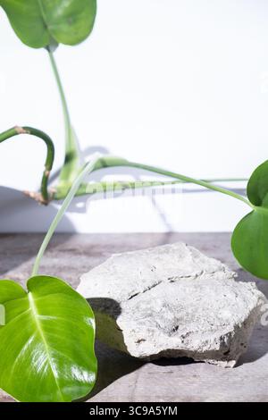 Natürlicher STYLE. Steinpodium und grüne Monstera hinterlassen Swiss Cheese Plant auf weißem Hintergrund. Stillleben für die Präsentation kosmetischer Mittel. Stockfoto