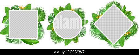 Tropische Sommerblätter und Blumen um Rahmen mit transparentem Hintergrund. Botanische quadratische und runde Ränder. Waldgrün. Reali Stock Vektor