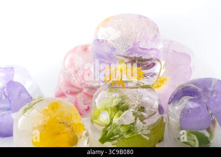 Eiswürfel mit gefrorenen Blumen auf weißem Hintergrund. Kleine Vergissmeinnots und lila und gelbe Blumen. Unschärfe und selektiver Fokus. Blumenarrangements Stockfoto