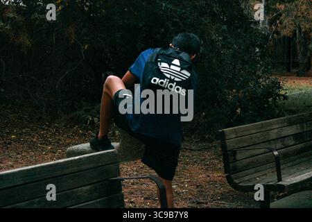 Junge aus der Mittelschule trägt schwarzen adidas Rucksack im Wald, allein, allein Stockfoto